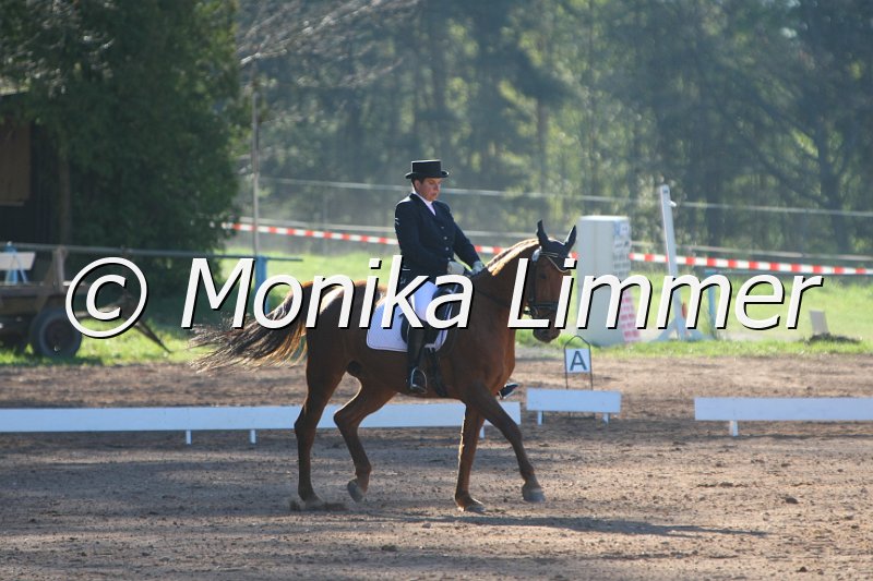 203M6164_Witch of Georg_Dressur_A.JPG